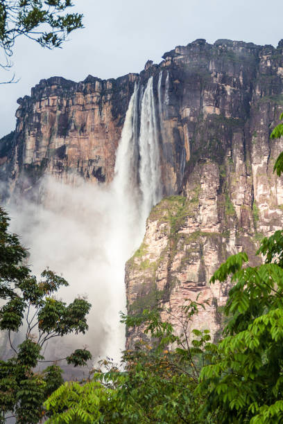 istock Angel Falls (Salto Angel), world's highest waterfall (978 m), Venezuela 1312881688