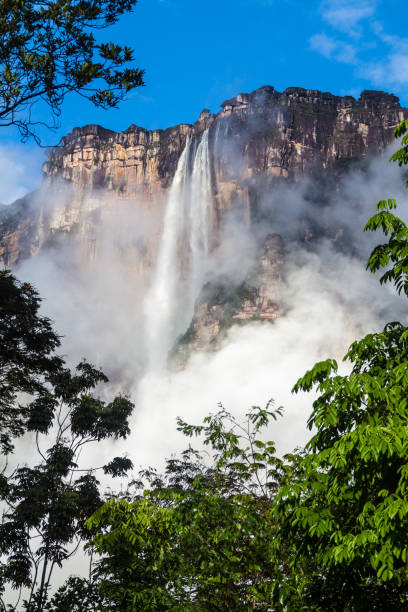 istock Angel Falls (Salto Angel), world's highest waterfall (978 m), Venezuela 1312881693