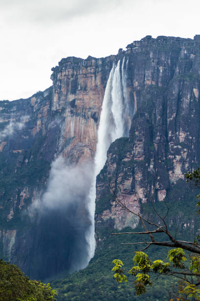 istock Angel Falls (Salto Angel), world's highest waterfall (978 m), Venezuela 1312881771