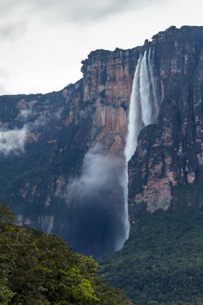 istock Angel Falls (Salto Angel), world's highest waterfall (978 m), Venezuela 1312881778