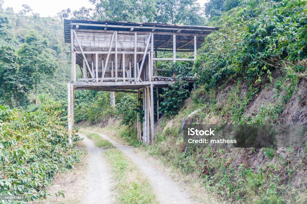 Coffee loading facility at a plantantion near Manizales, Colombia Agriculture Stock Photo