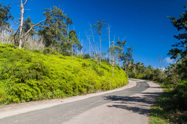 droga do la gran piedra big rock w sierra maestra gór w pobliżu santiago de cuba, cu - acess zdjęcia i obrazy z banku zdjęć