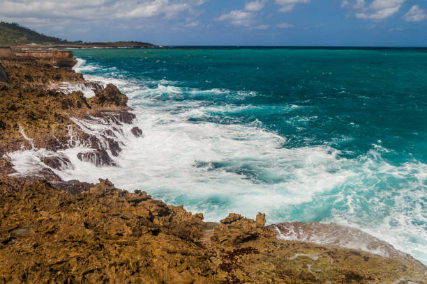 istock Coast in Baracoa, Cu 1312887388