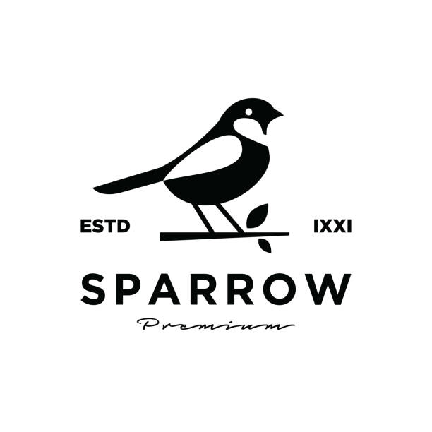 premium vintage spatz vektor design - birds stock-grafiken, -clipart, -cartoons und -symbole