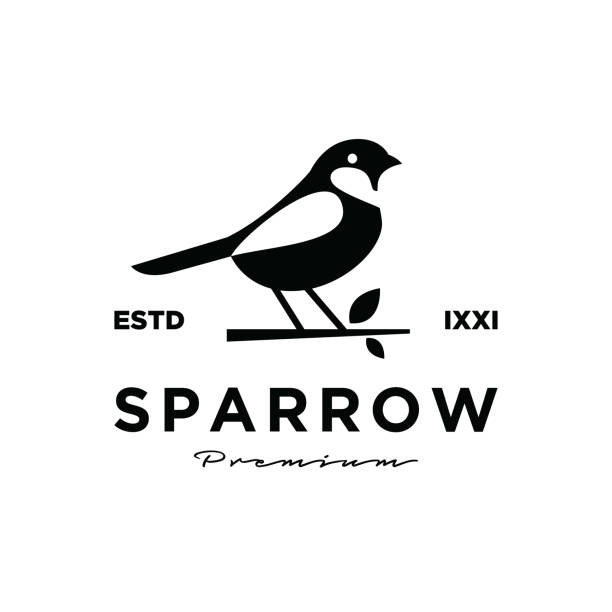 premium vintage sparrow vector design premium vintage sparrow vector design sparrow stock illustrations