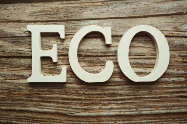 istock ECO alphabet letter on wooden background 1312899405