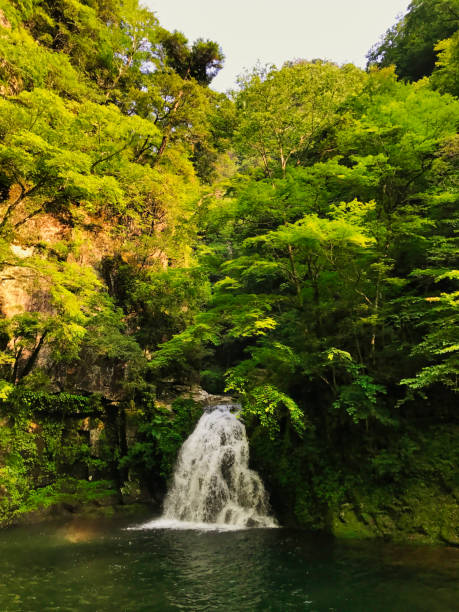 istock waterfall and lake in the mountain 1312906883