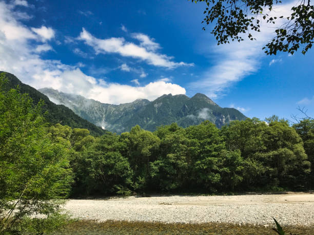 istock mountain river in the mountains 1312906924