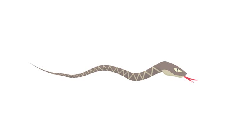 262 Cartoon Snake Stock Videos and Royalty-Free Footage - iStock | Cute snake, Chinese new year, Cartoon duck 262 Cartoon Snake Stock Videos and Royalty-Free Footage - iStock | Cute snake, Chinese new year, Cartoon duck
