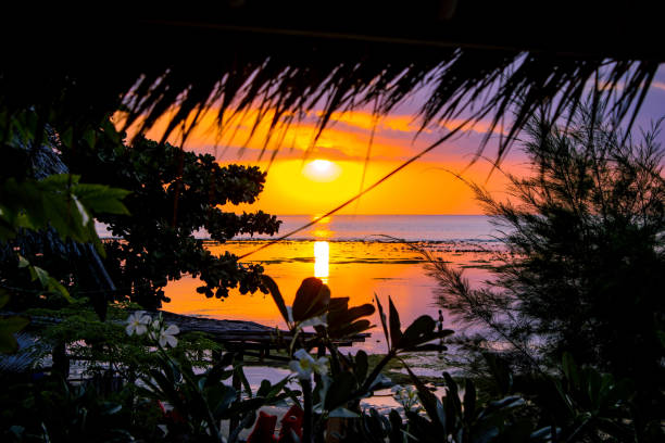 Colorful sunset on gili air View on the ocean through blooming environment gili trawangan stock pictures, royalty-free photos & images