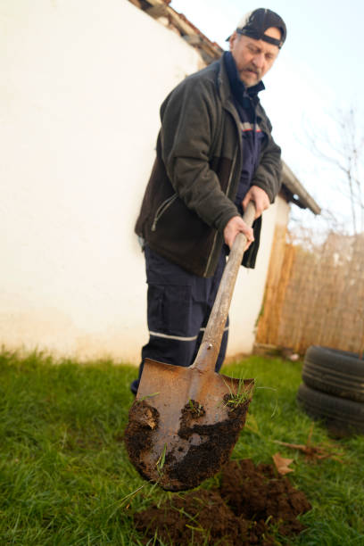 istock Mature man plants a tree in the backyard 1312911349