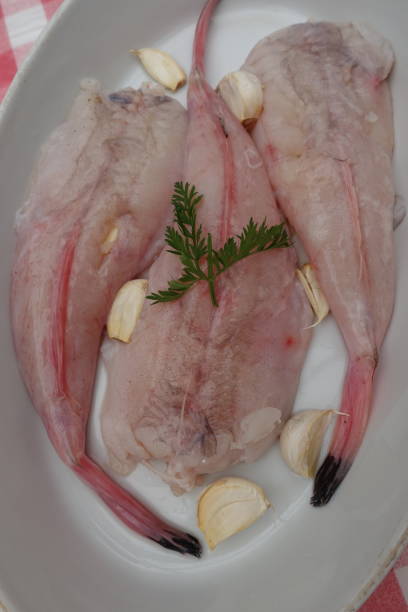 istock Monkfish tails being prepared with garlic before baking 1312912269