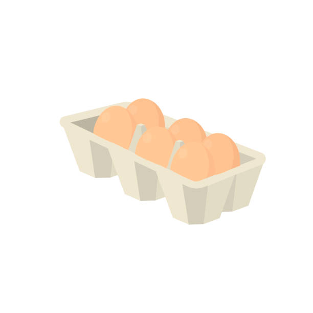 ilustrações de stock, clip art, desenhos animados e ícones de egg tray. chicken eggs in a box - eggs animal egg stack stacking