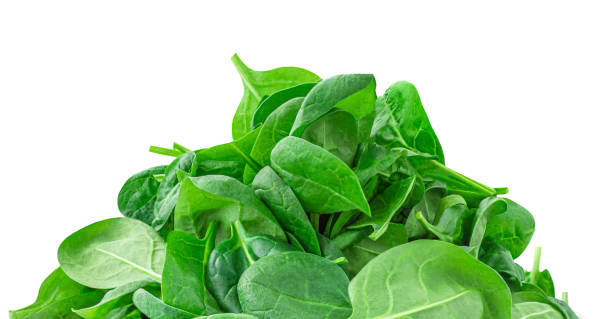 istock Spinach leaves isolated on white background. Green spinach Boarder or frame, close up
