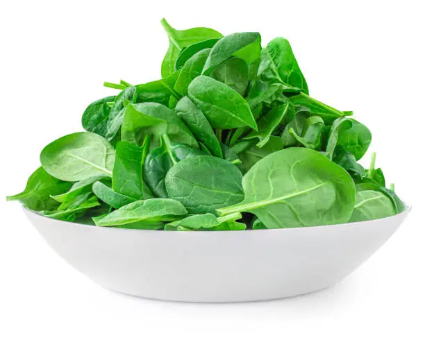 Fresh Spinach leaves on a plate isolated on white background. Green spinach lunch. Healthy diet eating concept