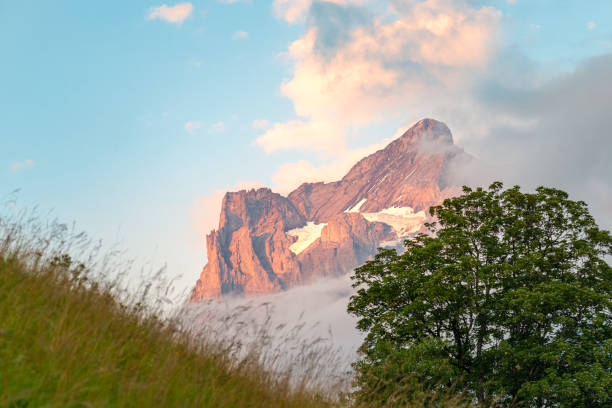 górskie krajobrazy w świetle zachodu słońca w alpach szwajcarskich - wengen mountain peak eiger field zdjęcia i obrazy z banku zdjęć