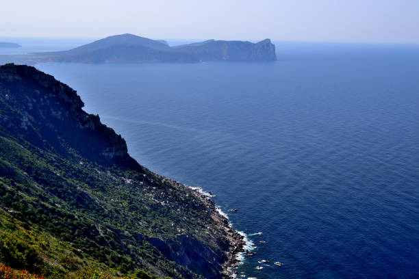 istock View from Punta Lu Caparoni, in the background Capo Caccia 1312932529