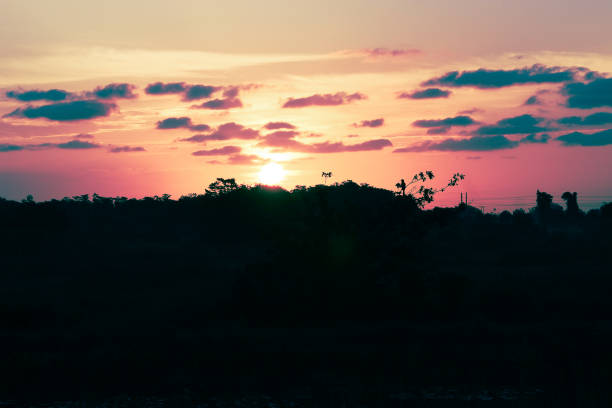 istock Sunset silhouettes in the swamp 1312939736