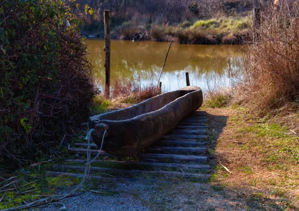 Photo of Wooden canoe next to the river in the Nature reserve of Valle Canal Novo.