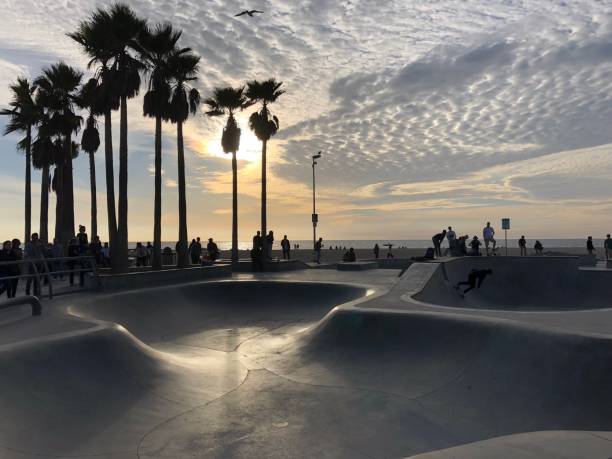 istock Skate Park Venice Beach California 1312950041