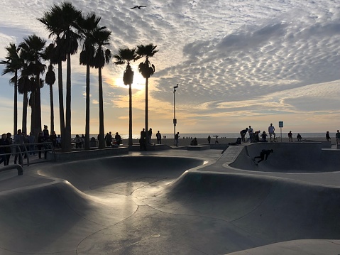 The famous Skate Park in Venice Beach California