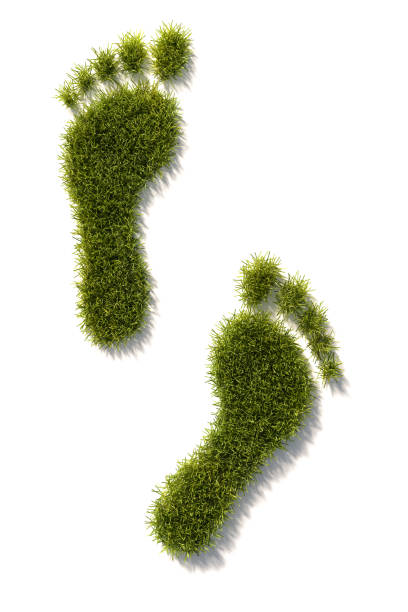 footprints as patches of grass. carbon footprint concept. preserving nature. high angle view - isolated on white - recycling carbon footprint footprint sustainable resources imagens e fotografias de stock