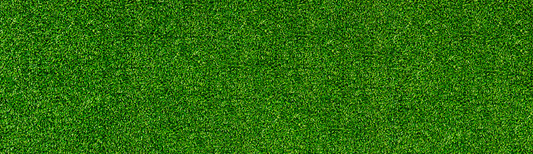 istock Green grass pattern texture background. Grass meadows on football field or golf. Top view banner. 1312952185