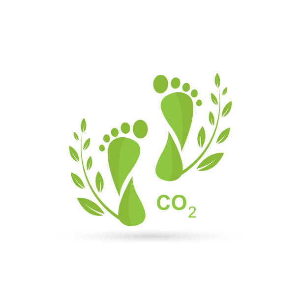 ilustrações de stock, clip art, desenhos animados e ícones de carbon footprint c02, tree leaves symbol.vector isolated on white background. - footprint carbon environment global warming