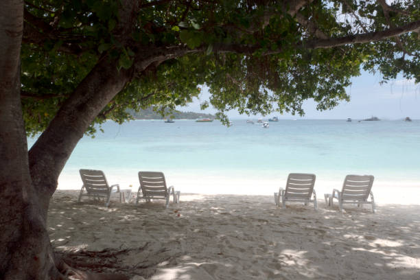istock Beach Chairs on Sand Beach in Phuket Island. 1312954816