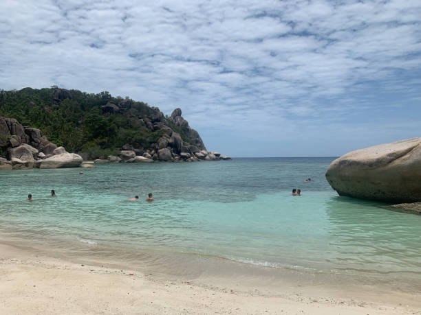 istock heavenly beaches with palm trees and stones 1312955995