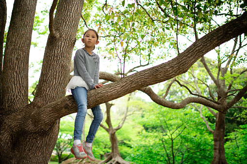 Girl climbing a tree in the forest