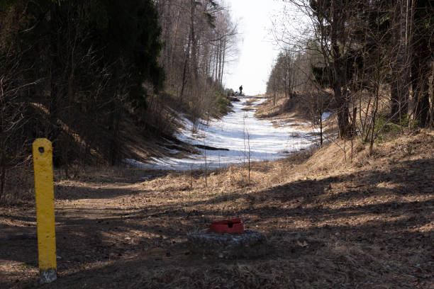 istock Industrial marks in hilly forest with melting snow in spring day 1312960700