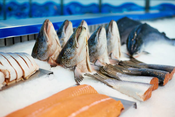 istock Showcase with raw fish in the supermarket. 1312962580