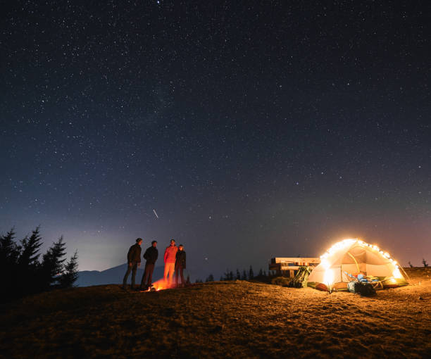 istock Night campsite in the mountains lawn under starry sky. 1312962913
