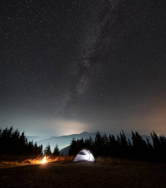 istock Illuminated camp tent under beautiful night sky with stars. 1312963021