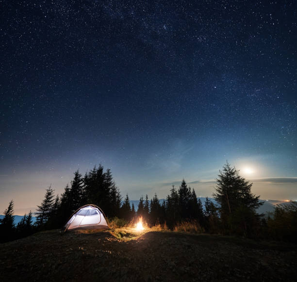 istock Evening with starry sky over camping in the mountains. 1312963033