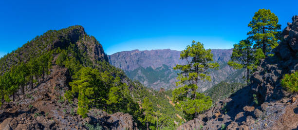 panorama du parc national de caldera de taburiente à la palma, îles canaries, espagne. - group21 photos et images de collection