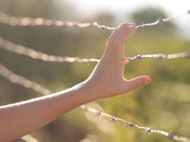 Free Stock Photo of Child and Barbed Wire | Download Free Images and ...