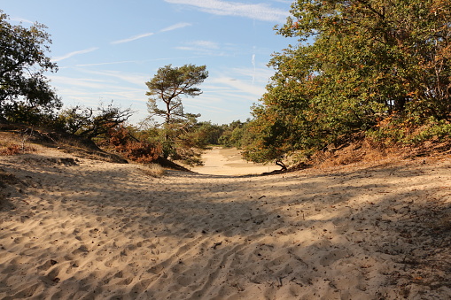 October 14, 2018, Giersbergen: View of the dune landscape with its shifting dunes in the National Park De Loonse en Drunense Duinen in North Brabant in Holland