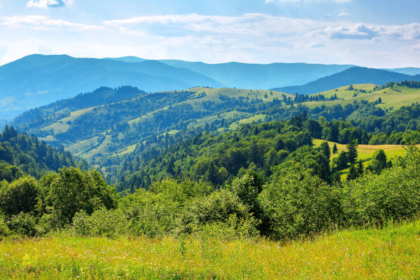 istock countryside landscape in summer 1312970067