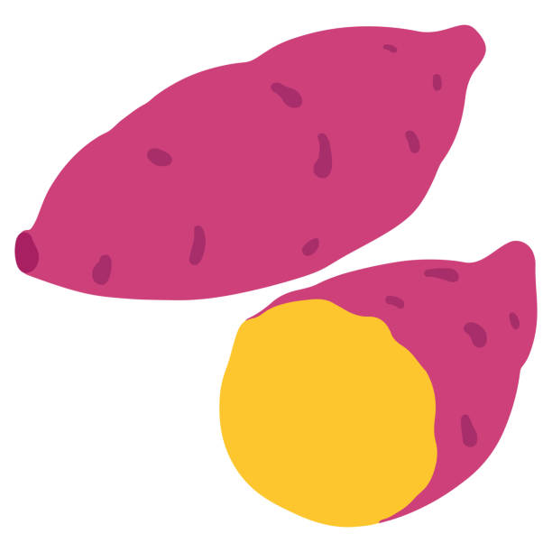 płaskie kolorowe proste słodkie ziemniaki - sweet potato stock illustrations