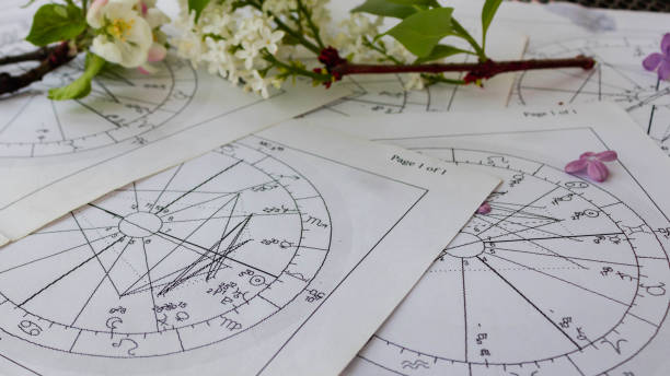 istock Old printed charts with white lilac flower branch 1312972671