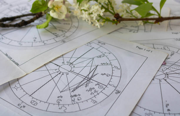 istock Old printed charts with white lilac flower branch 1312972681