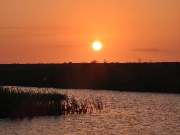 istock Sunset in the Florida Everglades 1312973855