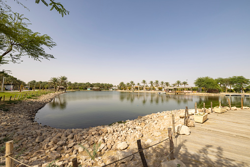 Jawatha park is located in the village of Al-Kilabiyah, about 12km northwest of Hofuf, Al-Ahsa, Saudi Arabia. There is a lake in the middle surrounded by paved walkways, green grass, palm garden, and restaurant.