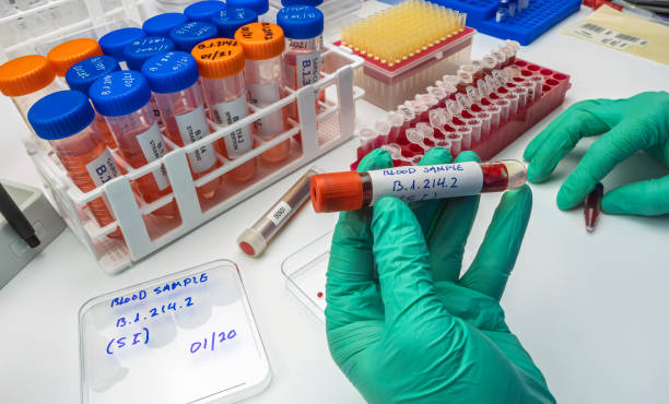 istock Laboratory analysis of a new Sars-Cov-2 mutation in Belgium from Congo, known as Spike Insertion (SI) whose scientific name is B.1.214, conceptual image 1312974193