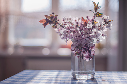 pink spring flowers in a jar on a sunny day, a bouquet of flowers in a transparent vase, pastel gentle romantic still life (nature morte) apple blossom, copy space selective focus