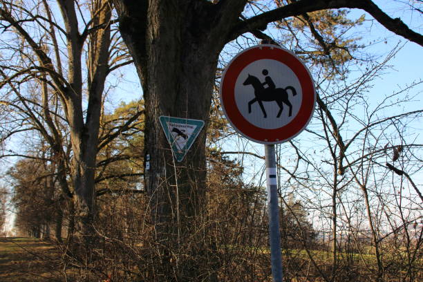 istock Forest trail closed to riders with a ban sign 1312975881