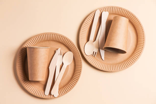 a set of disposable paper picnic tableware. - disposable imagens e fotografias de stock