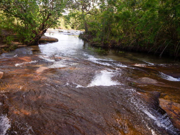 istock beautiful nature stream with trees at Pha Taem National Park, Ubon Ratchathani, Thailand. 1312978288